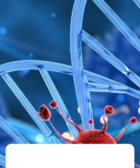 Biología MolecularPCR