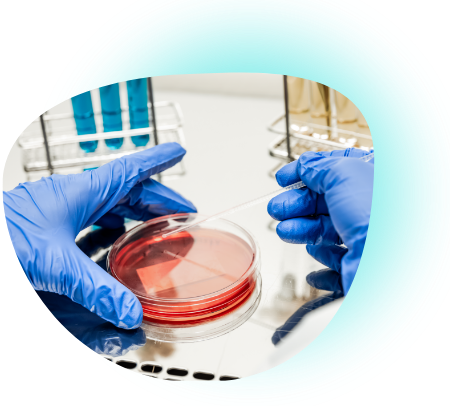 Servicio de bacteriología