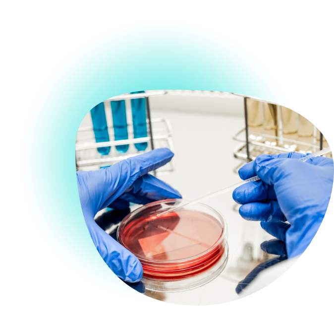 Servicio de bacteriología propio