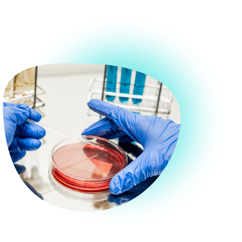 Servicio de bacteriología propio